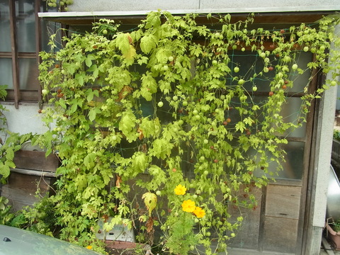 f0014980_18232064.jpg
