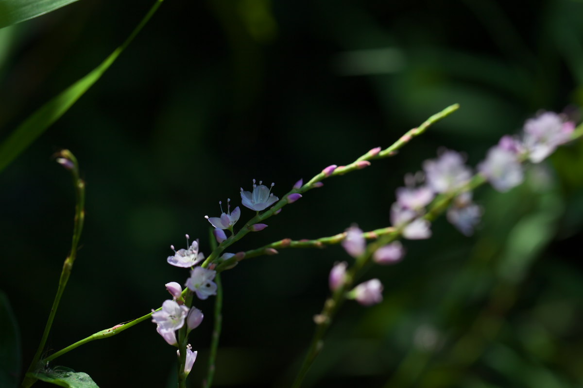 a0083081_16571611.jpg