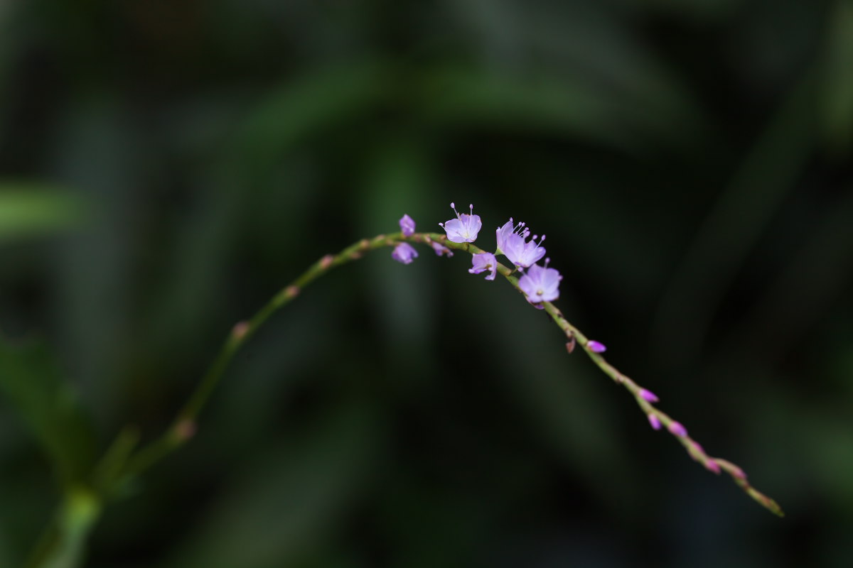 a0083081_1657421.jpg
