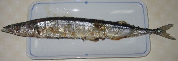 f0003283_188643.jpg