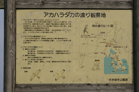 e0197884_193532100.jpg