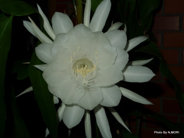 b0115085_2328566.jpg