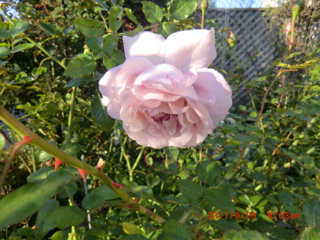 c0078586_12283397.jpg