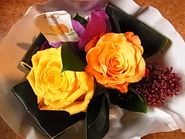 c0122788_1116468.jpg