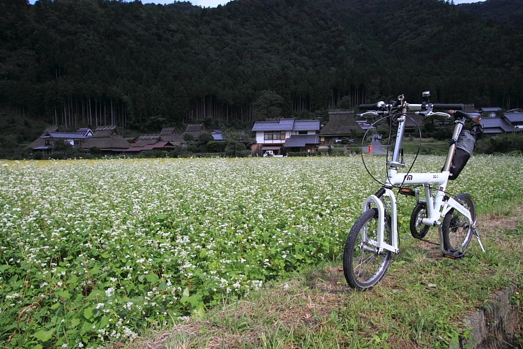 e0051888_2353122.jpg