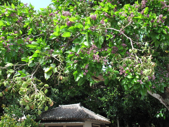 c0064389_13114210.jpg