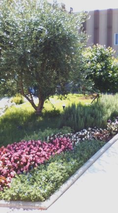 b0205694_827555.jpg