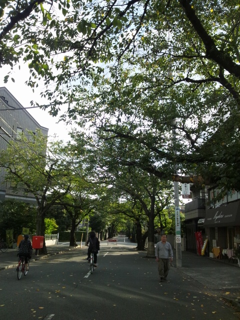 f0138995_2315017.jpg