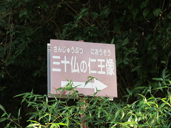 a0166196_1446265.jpg