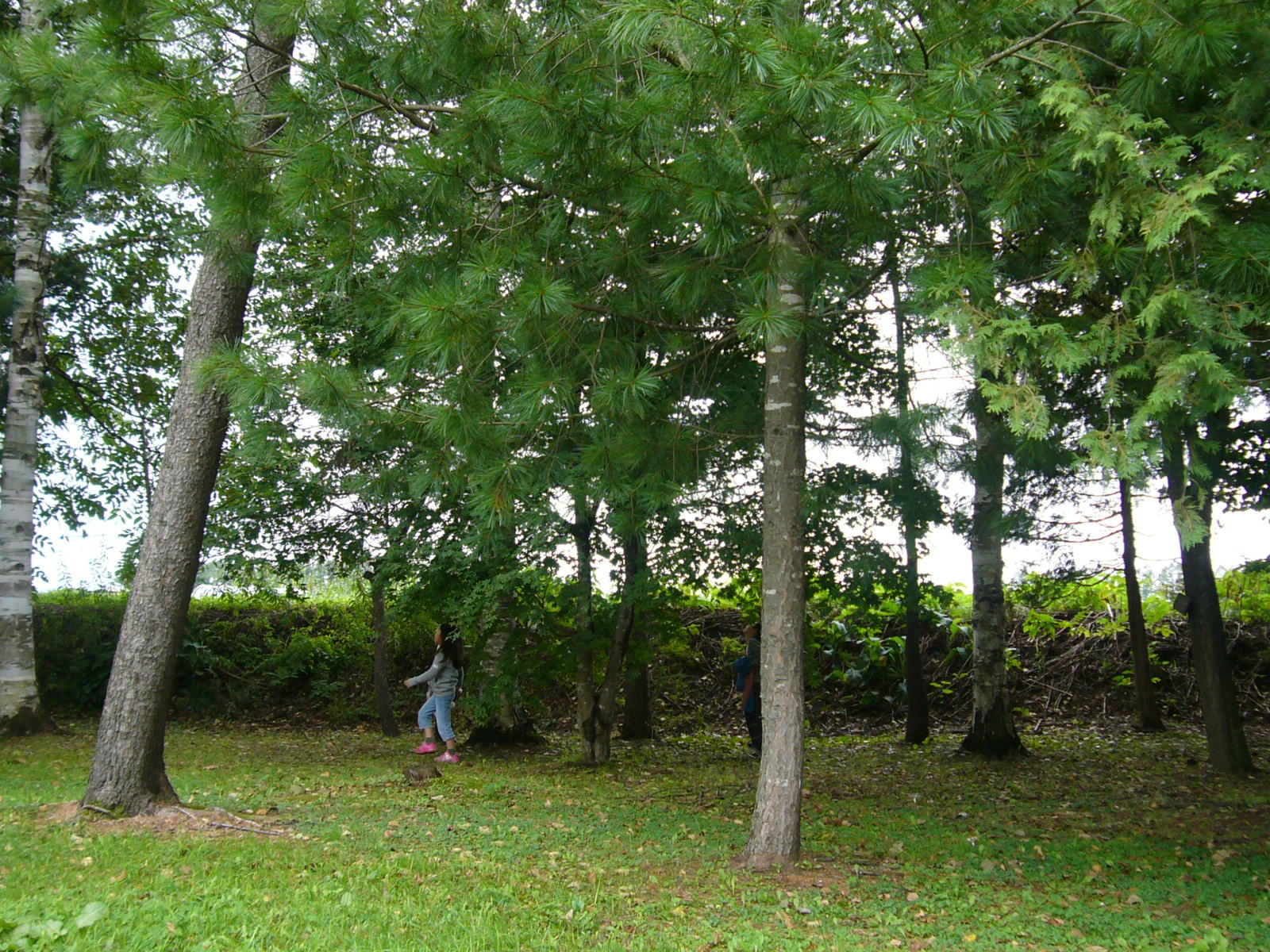d0015096_15292994.jpg