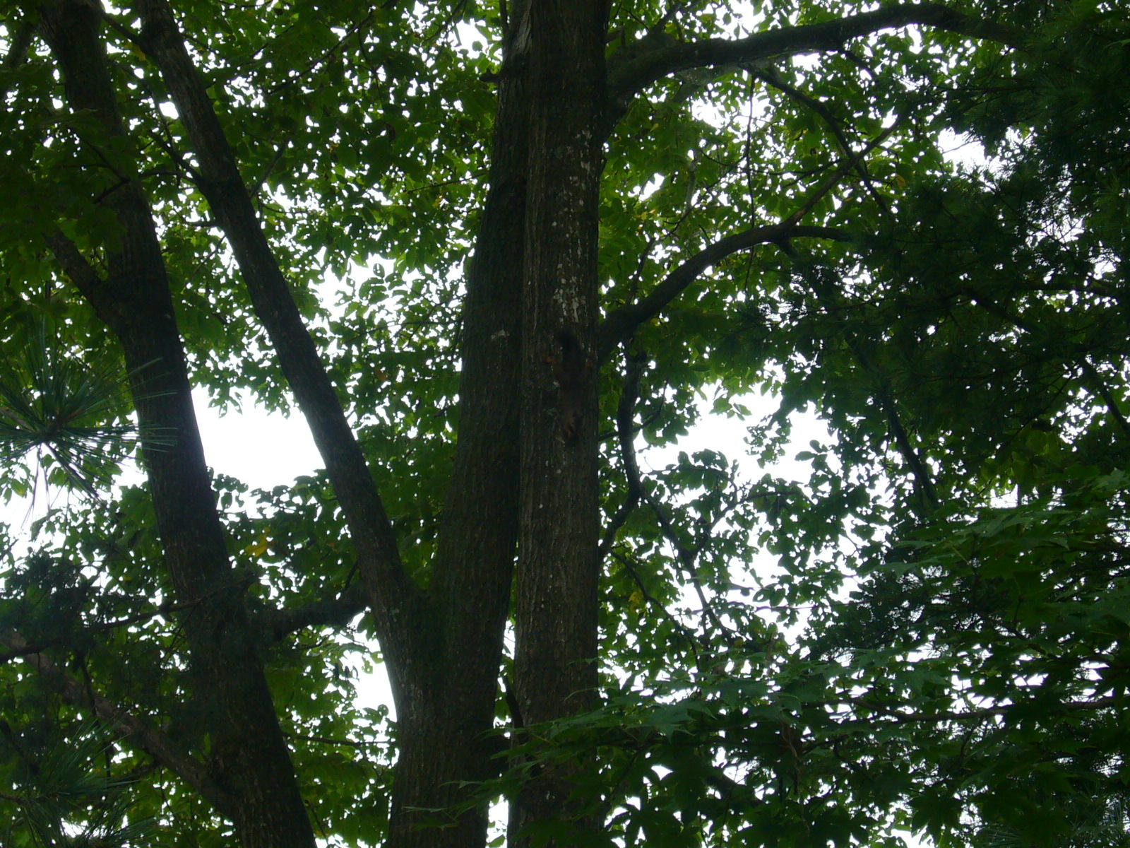 d0015096_15295127.jpg