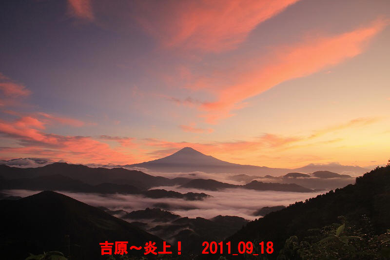 a0188405_16585229.jpg