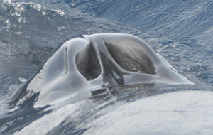 f0048405_1525413.jpg