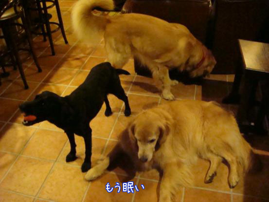 f0064906_18201441.jpg