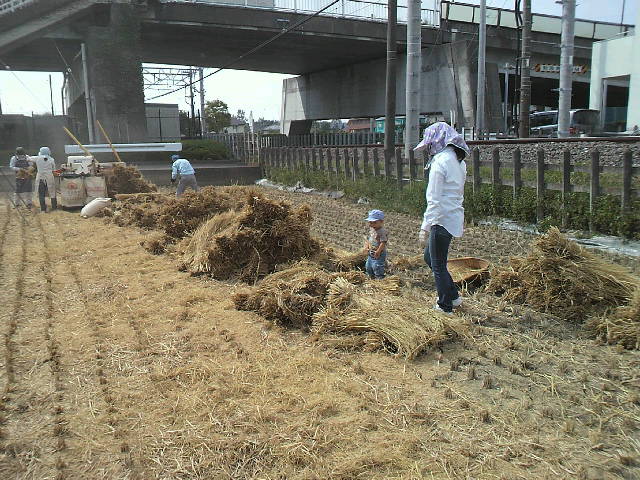 f0127408_20561262.jpg
