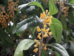 c0190010_15514626.jpg