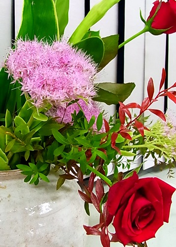 b0151911_12563173.jpg