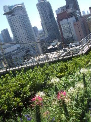 a0157619_23345135.jpg
