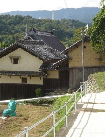 f0000521_611157.jpg