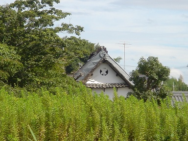f0000521_626082.jpg