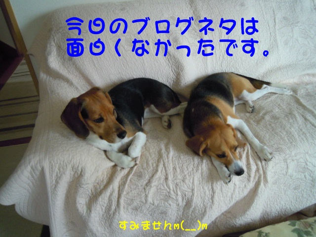 c0166622_8305571.jpg