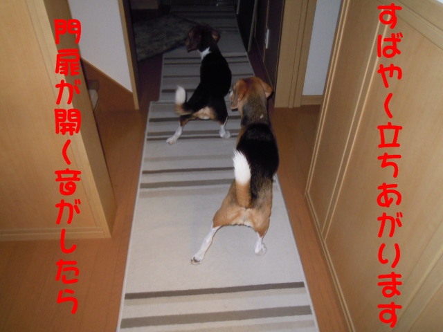 c0166622_8324544.jpg
