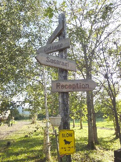 f0181524_20554894.jpg