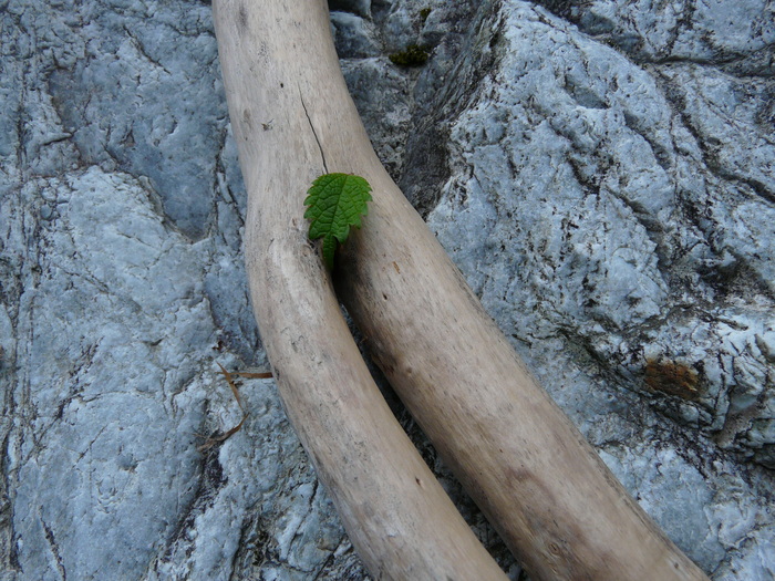 e0147226_2328224.jpg
