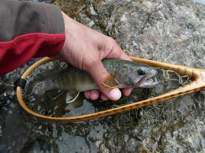 e0147226_2381985.jpg