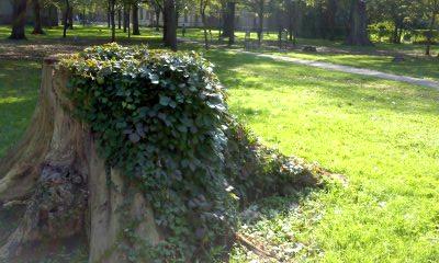 e0105130_21125423.jpg