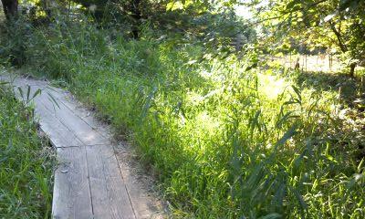 e0105130_21153218.jpg