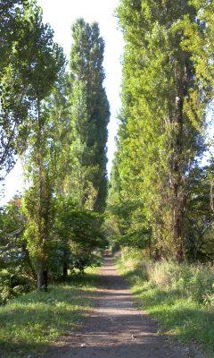 e0105130_2115540.jpg