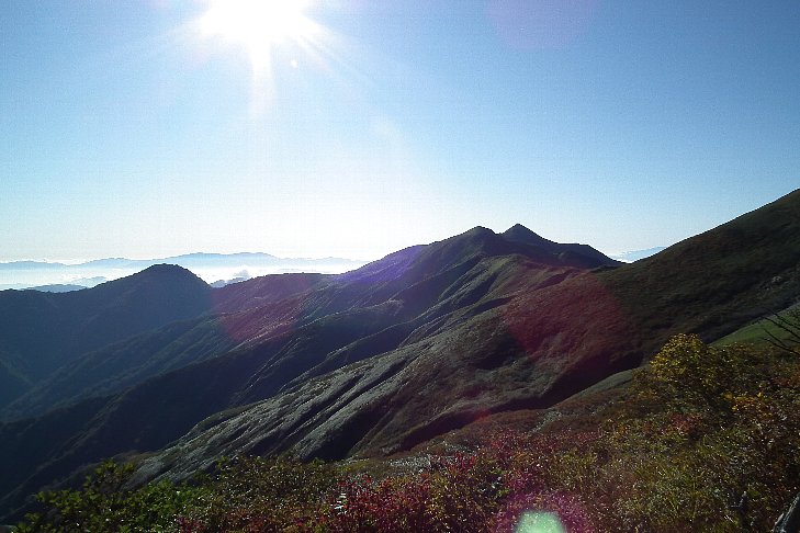 f0118332_17204890.jpg