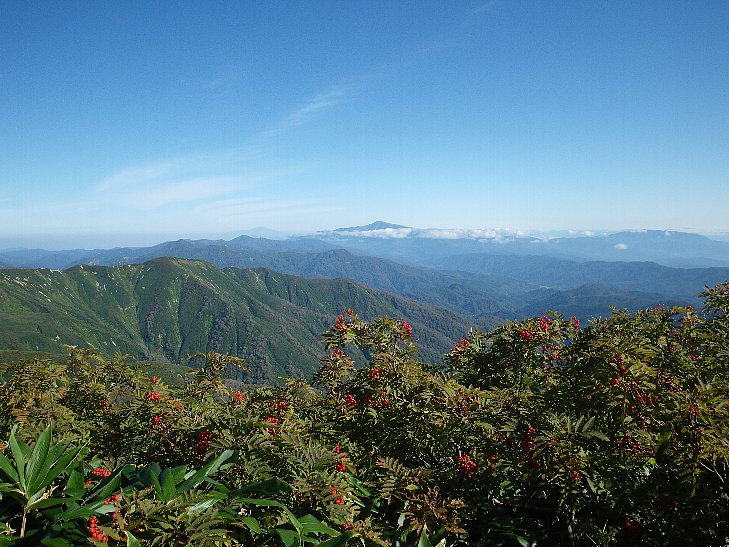 f0118332_17353752.jpg