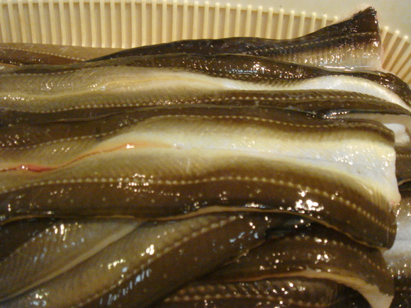 f0208737_7282450.jpg