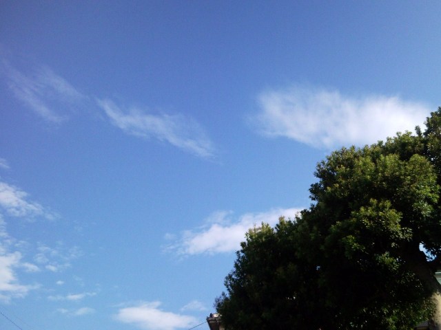 e0150843_22029.jpg