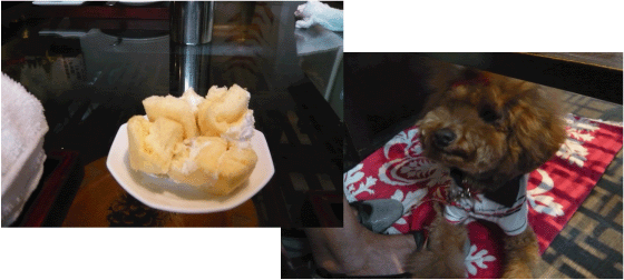 b0182846_22242383.gif