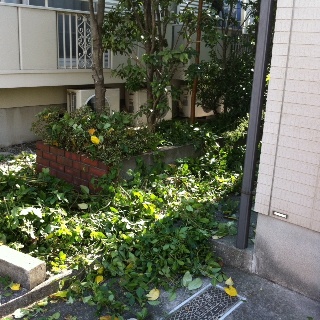 f0210546_2302829.jpg
