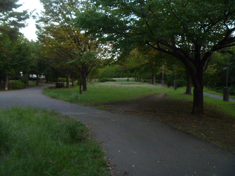e0121548_1951138.jpg