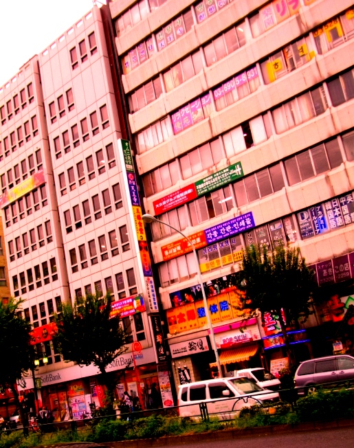 e0188350_8233939.jpg
