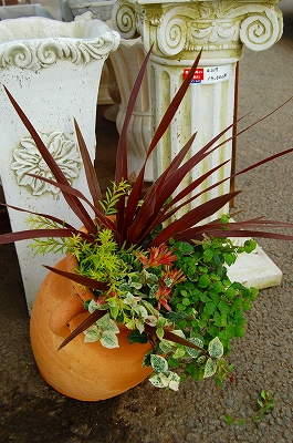 e0025655_5493111.jpg