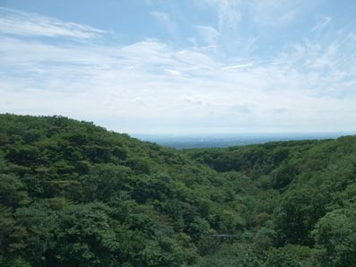 b0059664_1749414.jpg
