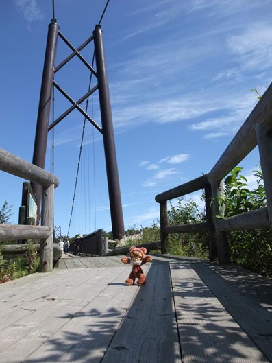 b0059664_174943100.jpg