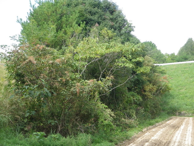 f0055264_0452100.jpg