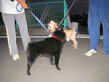 e0002466_1156027.jpg