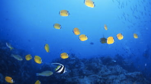 c0039073_20593680.jpg