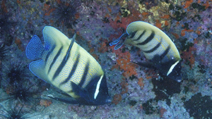c0039073_2113874.jpg