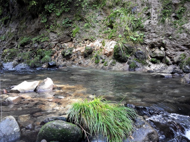 a0093677_20583957.jpg