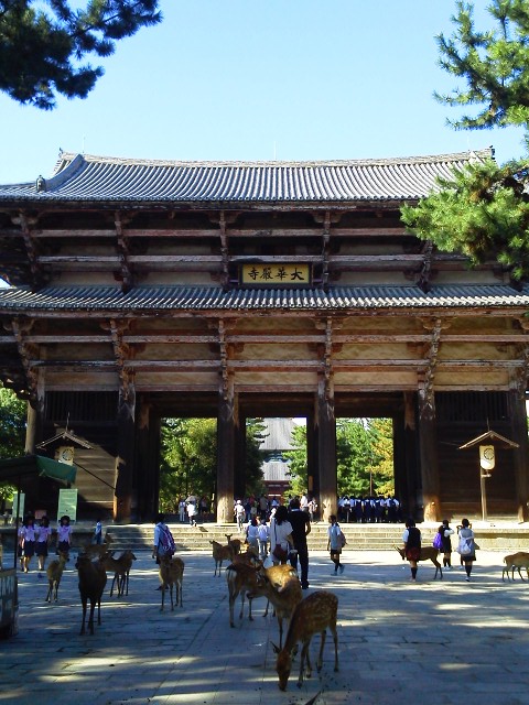 d0024277_311193.jpg