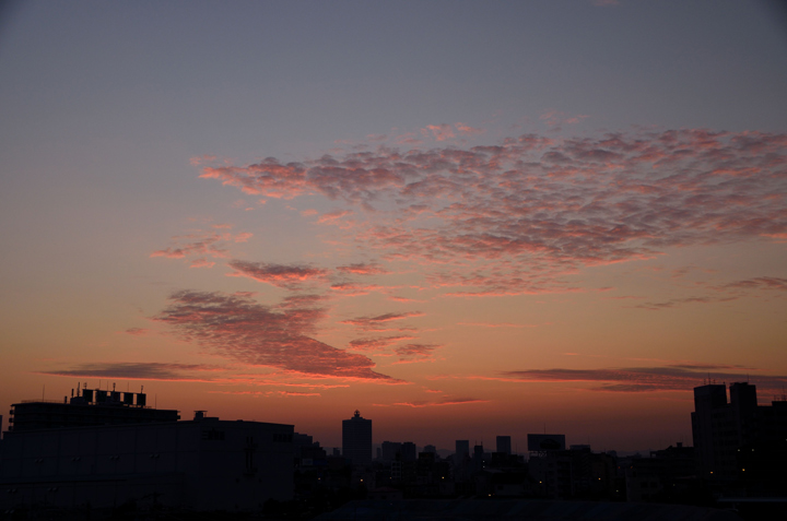 f0108478_2295870.jpg